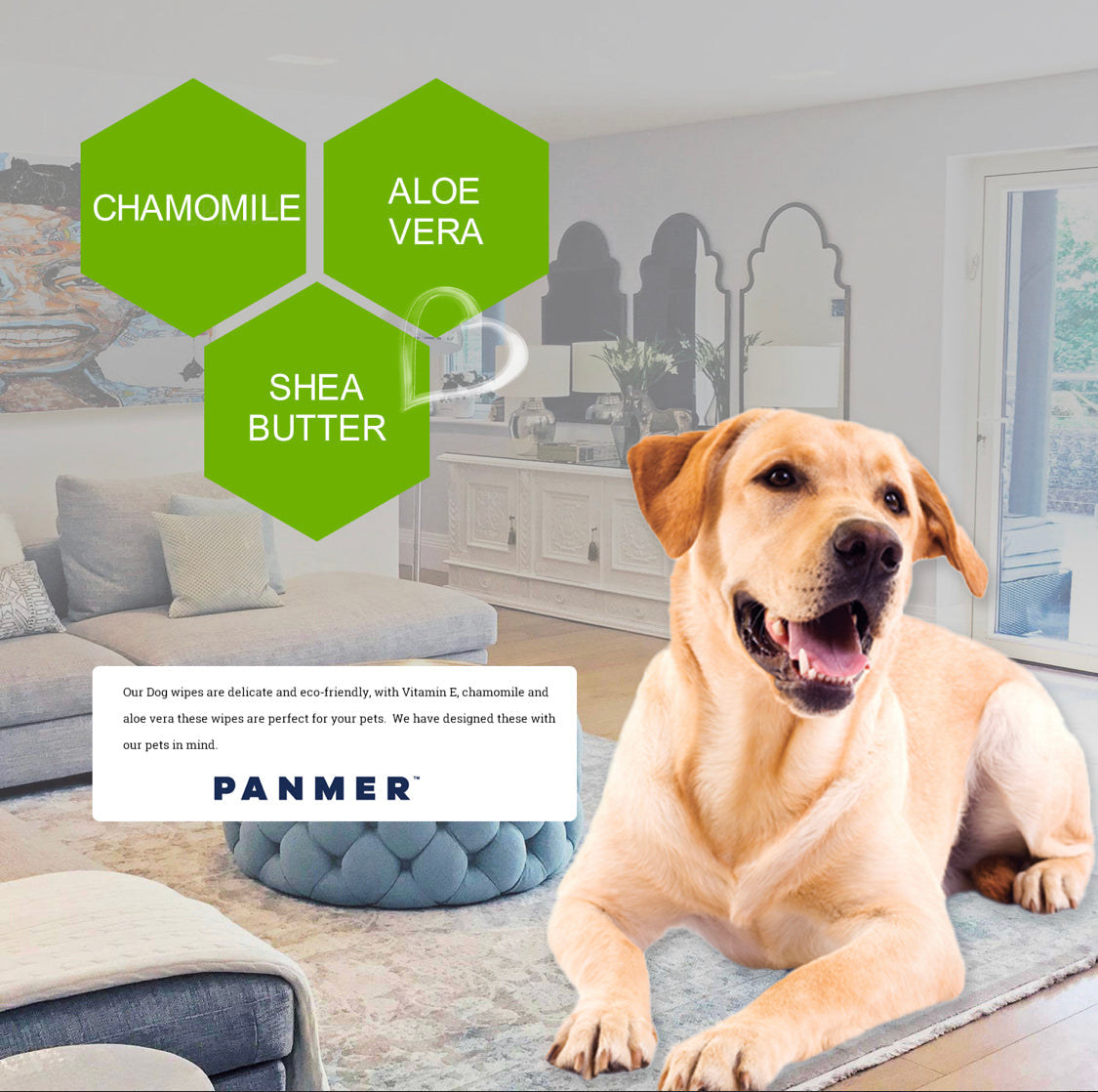 Pet friendly hotsell wipes