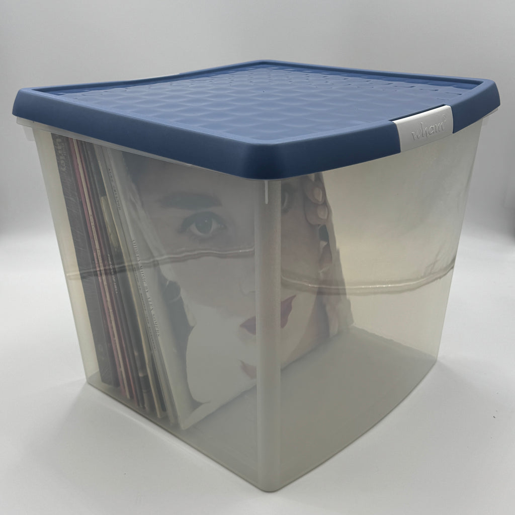 Plastic Storage Box with Lid For 12" Vinyls